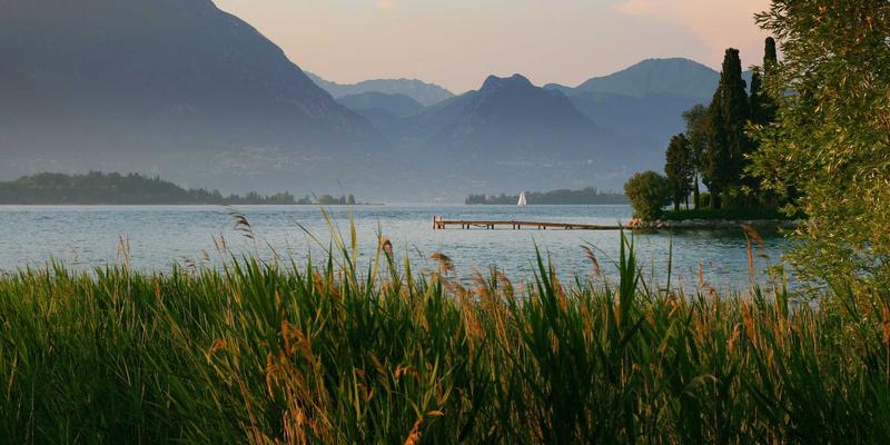 事故车辆拖车流程与保险理赔全指南：专业拖车服务如何助您高效处理危机