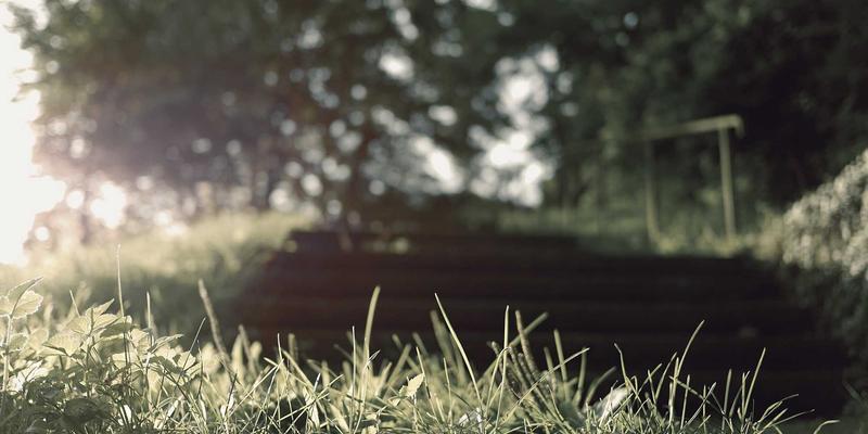 拖车服务51：道路救援的关键环节与专业解决方案