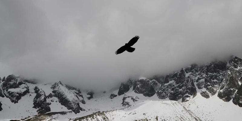 拖车服务60：您的全天候道路救援专家，紧急拖车服务随叫随到