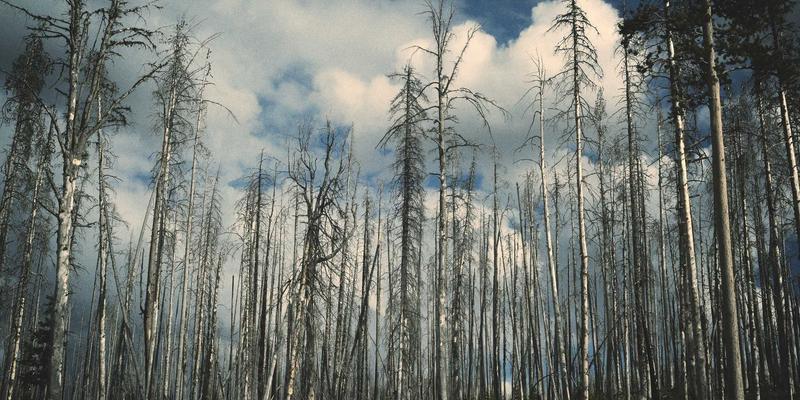 新能源汽车电池耗尽或故障时，如何安全高效呼叫道路救援与紧急拖车？
