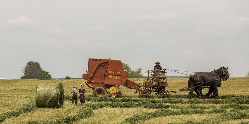 紧急拖车与事故救援全指南：如何选择专业可靠的汽车救援服务