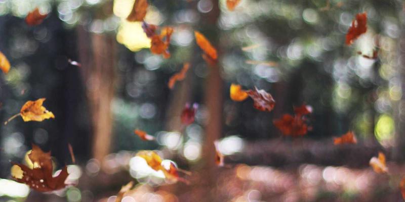 道路救援与紧急拖车服务全解析：车辆故障时的正确应对指南