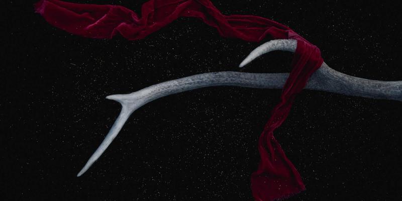 道路救援中的拖车服务：紧急拖车61项关键解读与选择指南