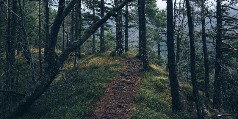 精密制造79：自动化产线如何重塑021精密产业新生态