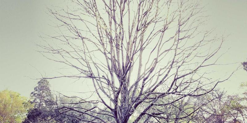 精密制造迈向新纪元:智能制造与自动化产线如何重塑产业未来